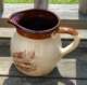 smallbrownpitcher_small.jpg