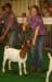 dsc00224_small.jpg