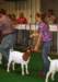 dsc00225_small.jpg