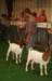 dsc00226_small.jpg