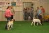 dsc00227_small.jpg