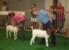 dsc00228_small.jpg