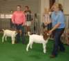 dsc00229_small.jpg