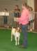 dsc00230_small.jpg