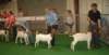 dsc00234_small.jpg
