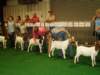 dsc00237_small.jpg