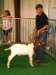 dsc00238_small.jpg