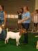 dsc00239_small.jpg