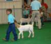 dsc06907_small.jpg