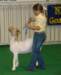 dsc07001_small.jpg