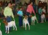dsc07034_small.jpg