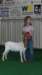 lilycrane_small.jpg