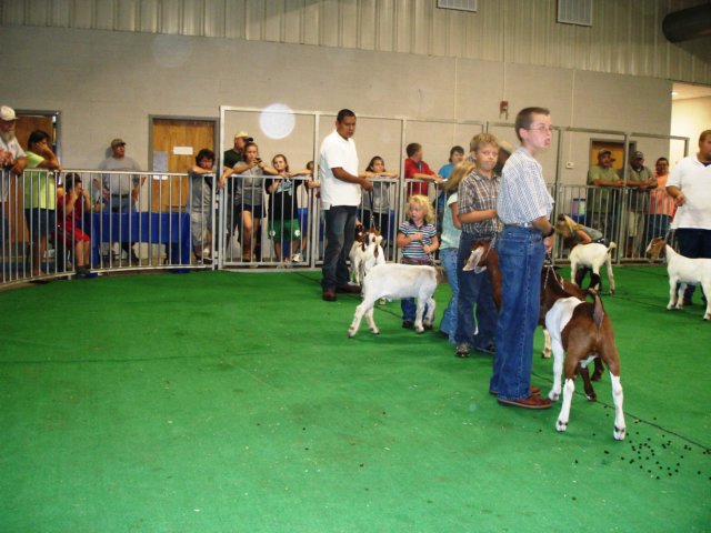 photo11.jpg