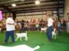 photo14_small.jpg