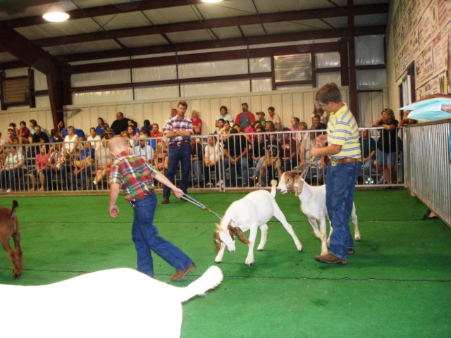 photo16.jpg