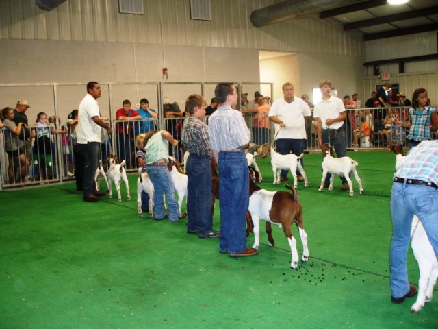 photo8.jpg