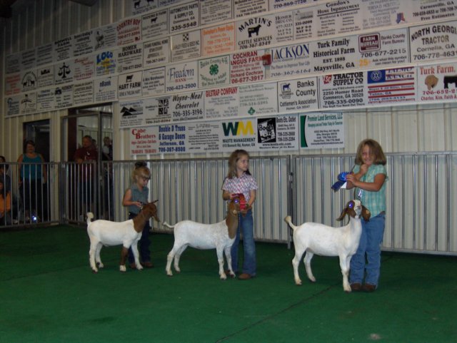 showmanship1.jpg