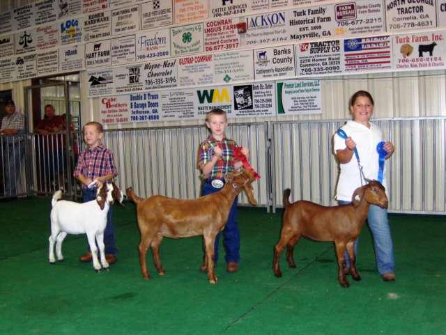 showmanship2.jpg