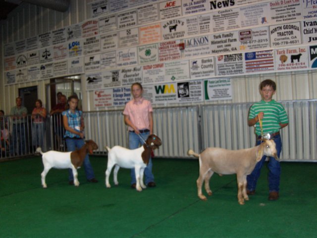 showmanship3.jpg