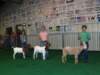 showmanship3_small.jpg