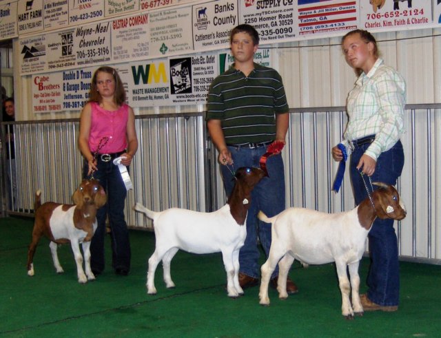 showmanship4.jpg