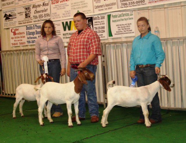 showmanship5.jpg