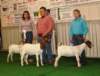 showmanship5_small.jpg