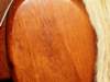 dsc04889_small.jpg