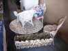 dsc04891_small.jpg