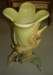 dsc05566_small.jpg